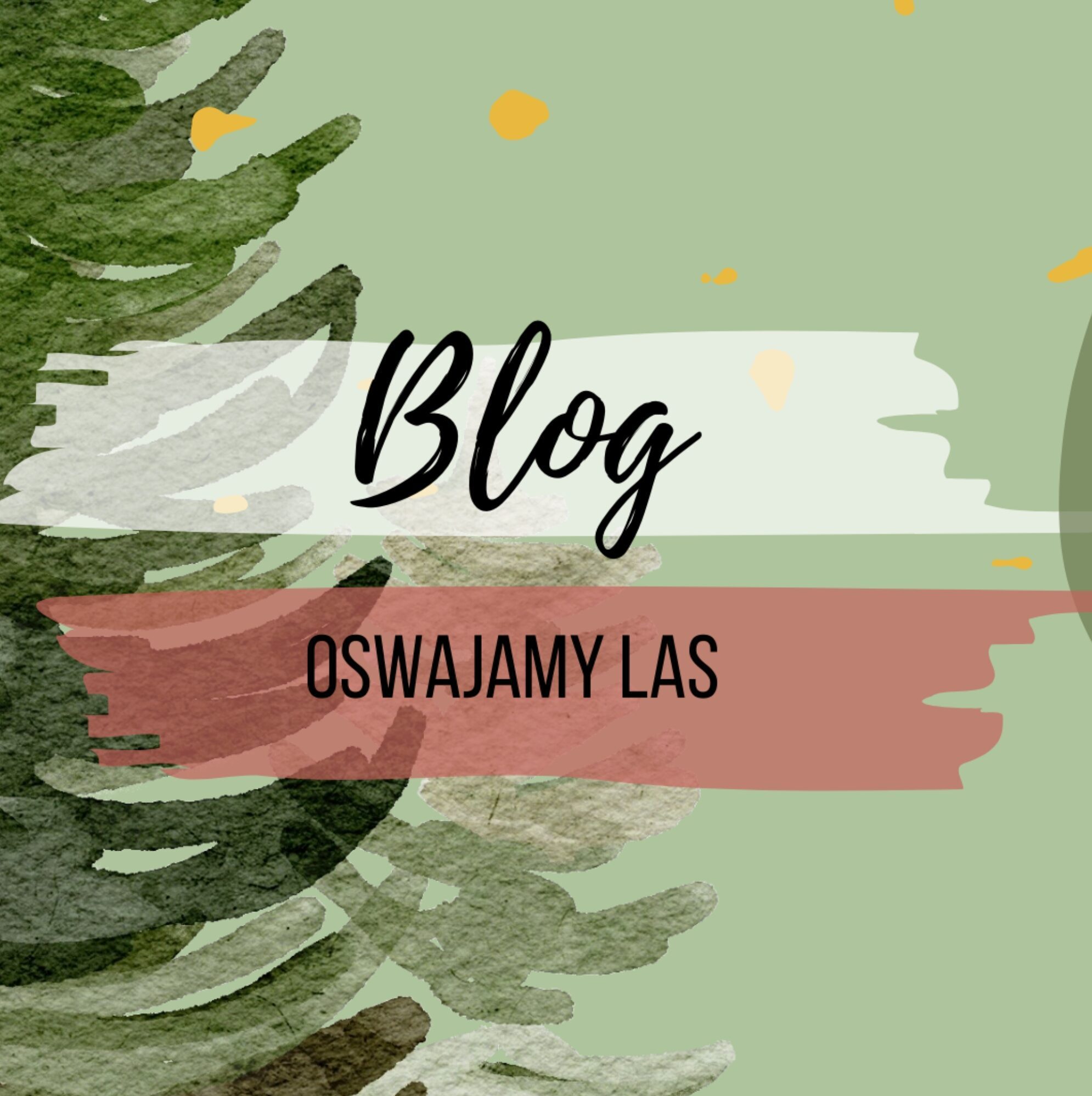 blog - polaczeni lasem