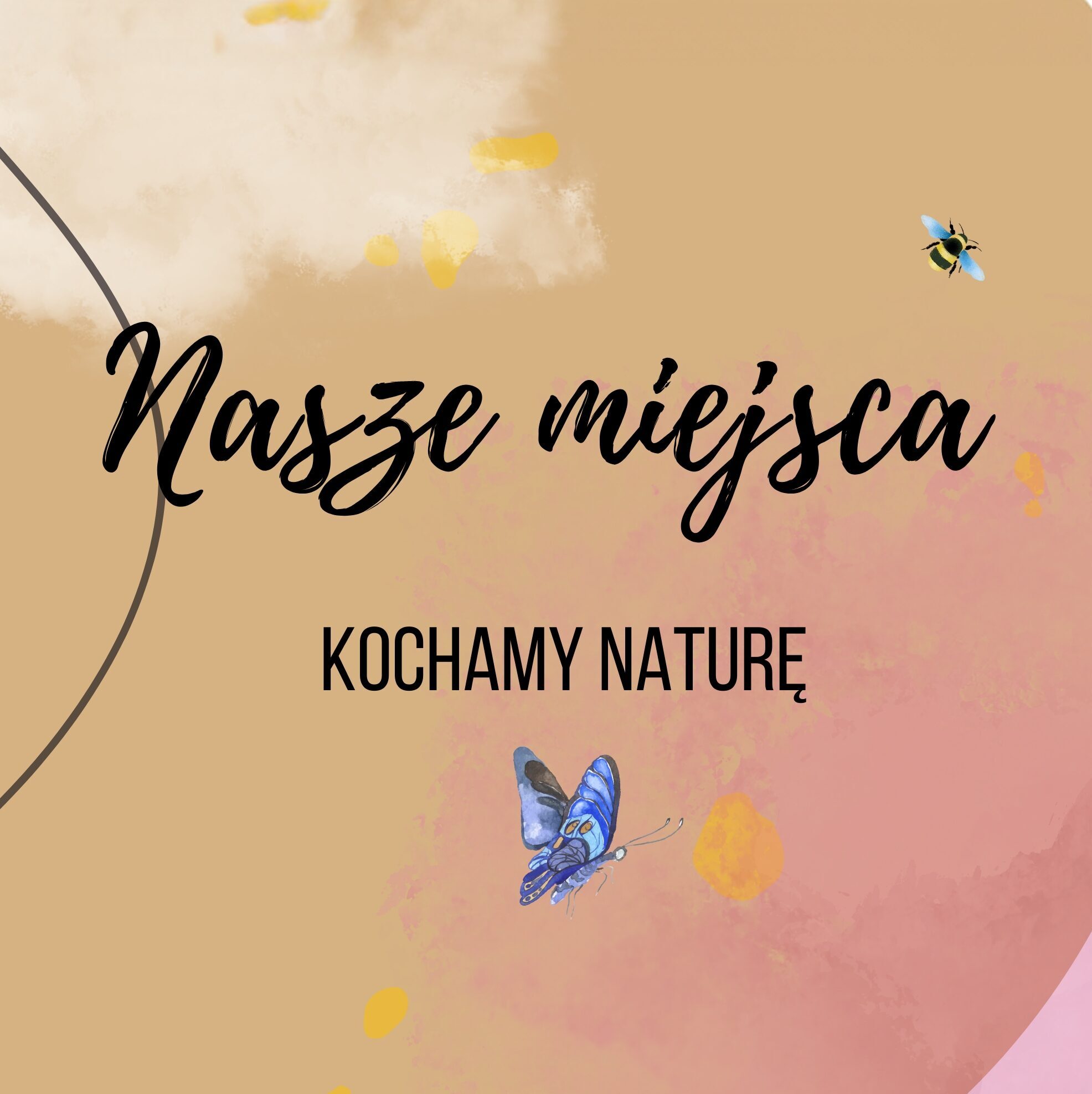 nasze miejsca - połączeni lasem
