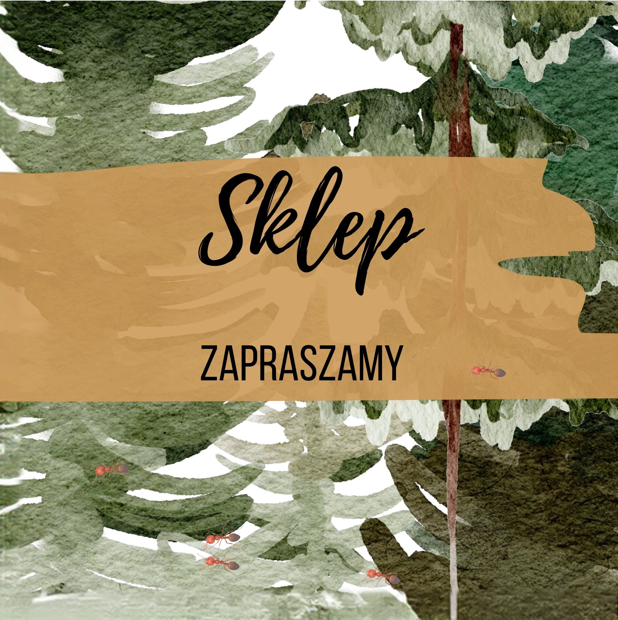 sklep - polączeni lasem